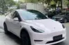 Mary Kay Pink(Bentley)