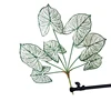 Green 70cm