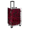 199 rose rosse colorate 40*30*60