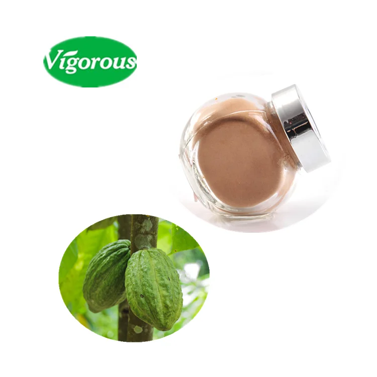 100% pure natural theobroma cacao seed extract powder