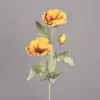 Orange-yellow