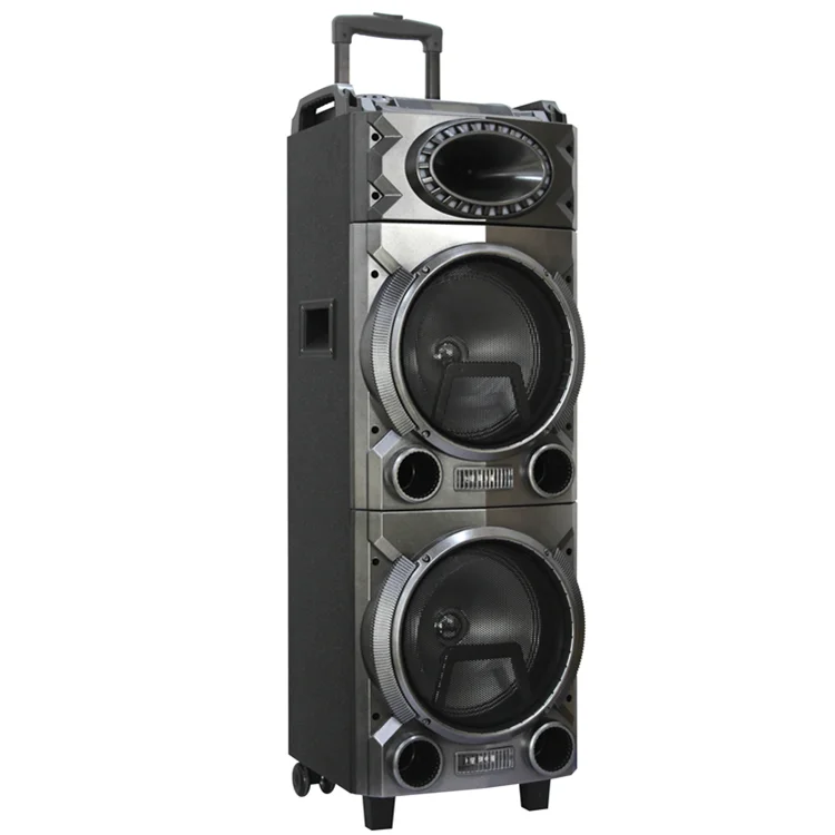 Home Theater Dual 10 Inch PA System Portable Wireless