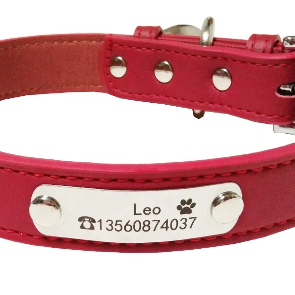 dog collar with riveted nameplate