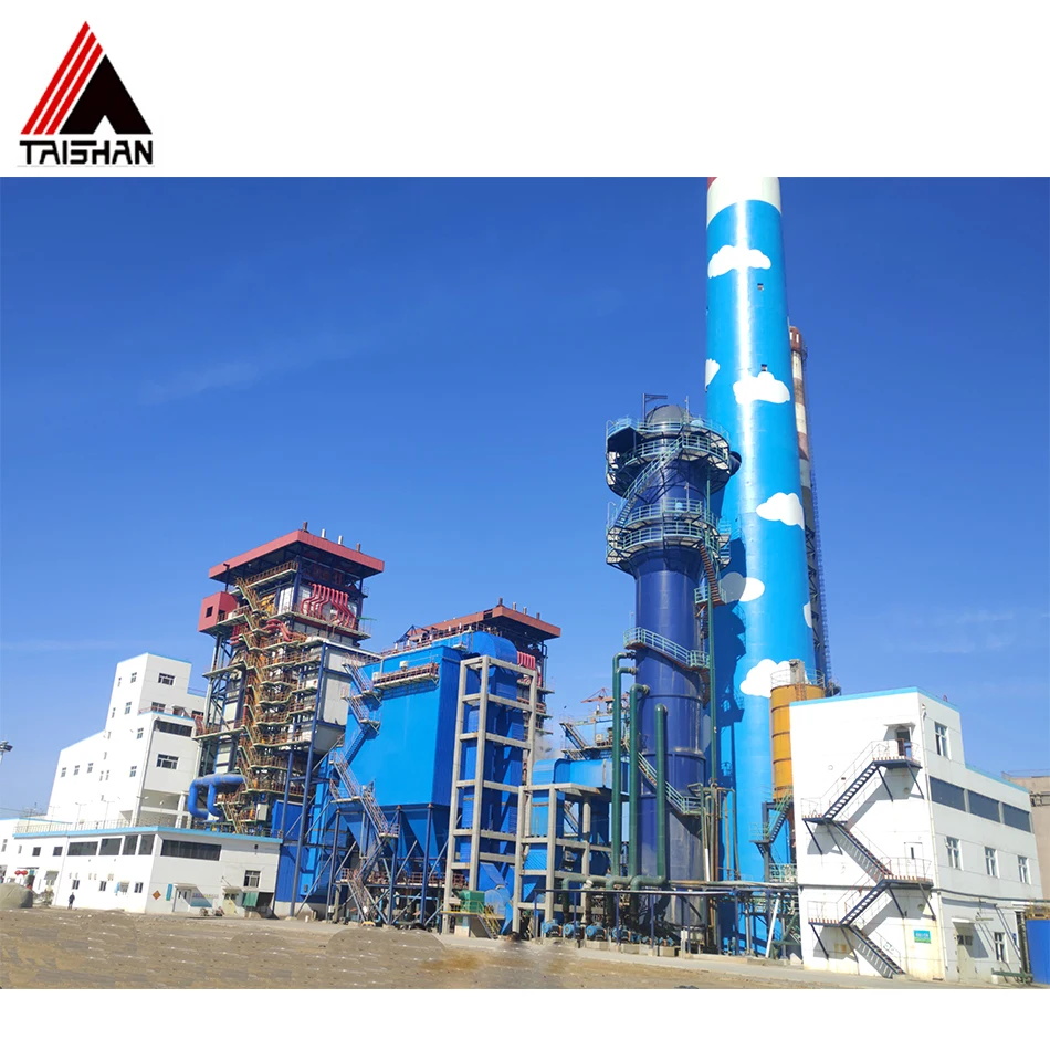 Steam Boiler, 0.7MW, 10MW - detail 20