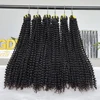 1B Kinky Curly