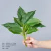 25cm