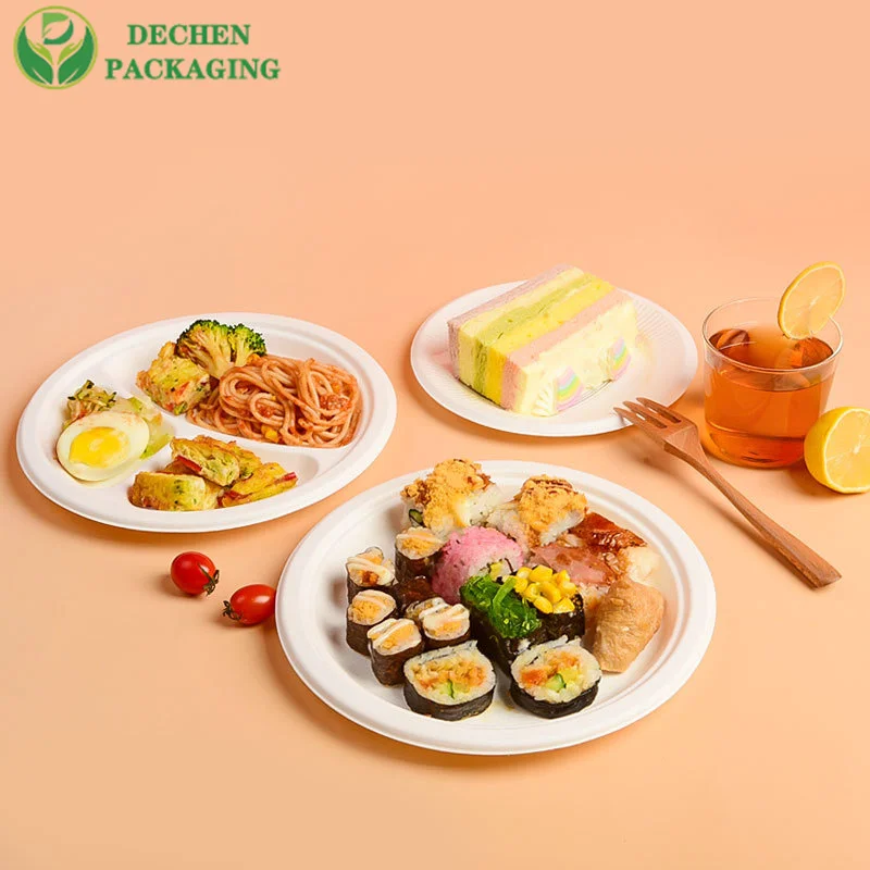 Disposable 9&amp;quot; Plate Bio-Based Made from Sugarcane Bagasse