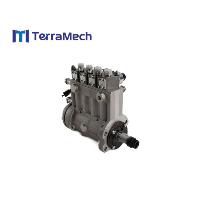 5730819 Fuel Injection Pump Assembly Original SEM Spare Parts 618D 