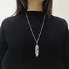 plata 7