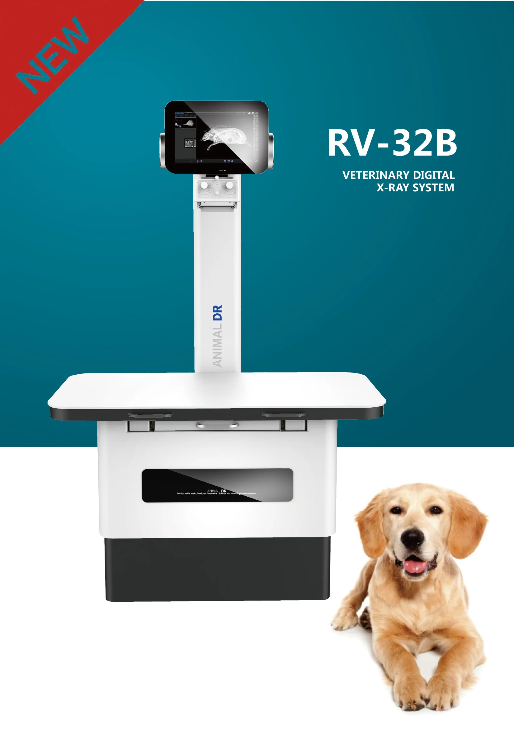 Dawei Digital Vet Dr X-ray Table Fixed Veterinary Dog X Ray Machine Vet ...