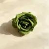rosa verde oscuro