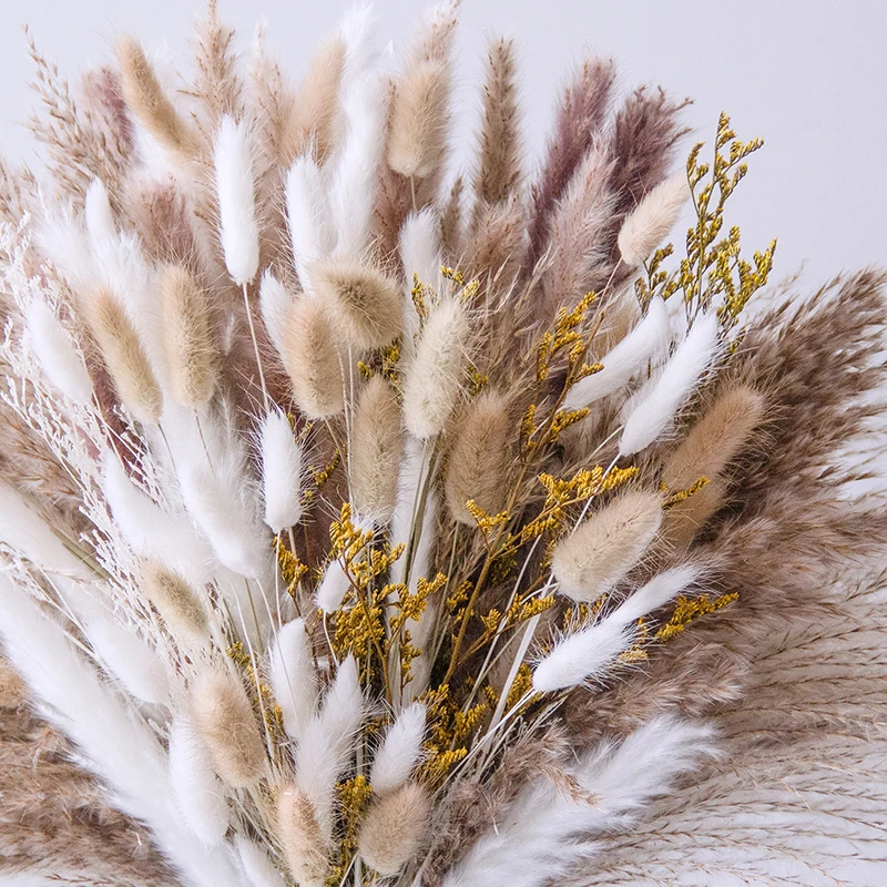 product high quality rabbit bunny tails grass reed flower arrangement lovegrass natural dried pampas grass bouquet boho home decorations-58