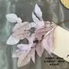 Xgm bunch of grapefruit leaves