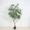 Green 210cm(6 Detachable Standard Buds)