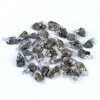 Labradorite (Pierre Unique)