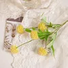 Giallo