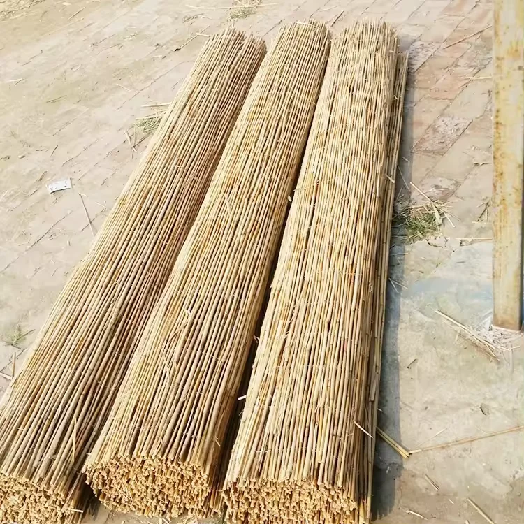 Eco-Friendly Reed Fence Natural And Stylish Solution For Garden Decoration And Privacy