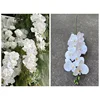 Orchidée Papillon 3D Feel à 9 têtes blanche