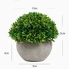 FY004-Erba a mille strati3