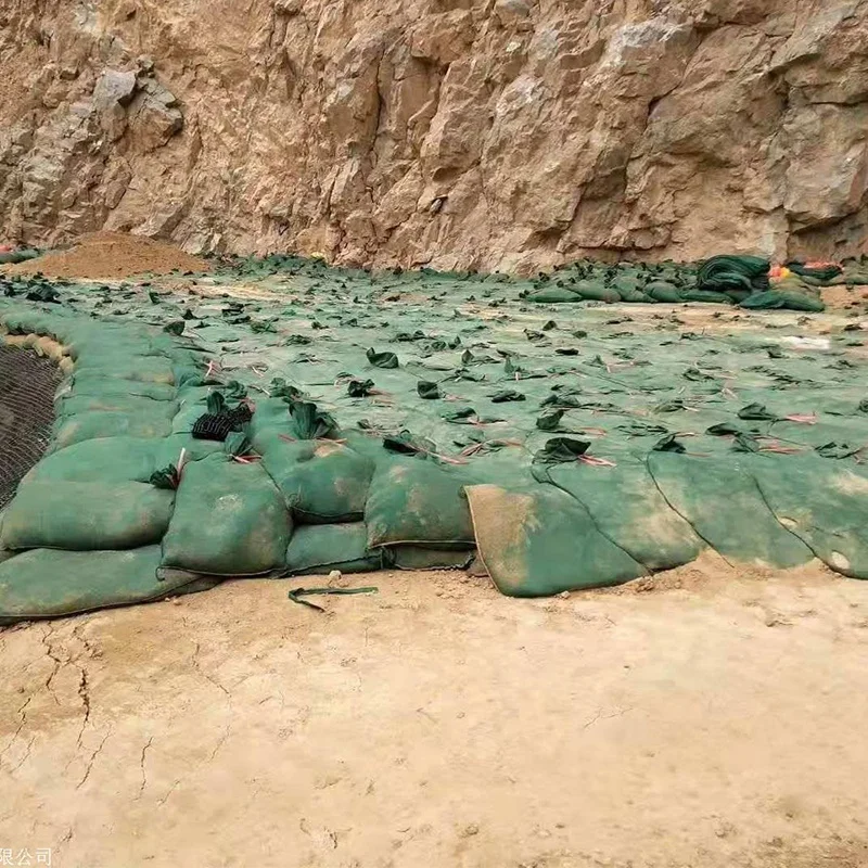 Mountain Steep Slope Erosion Control Geotextile Long Bag for Sand Geo Container Geobag for Landslide protection
