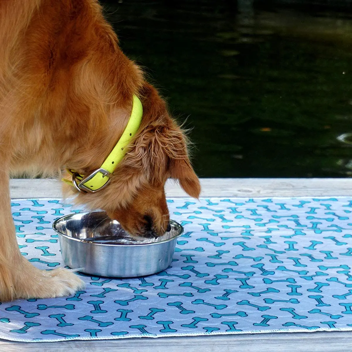 Custom Leak Guard Breathable Pet Urine Training Pad