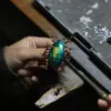 Spilla scarabeo oro-verde-sospensione nera con scatola regalo con fiocco