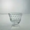 Transparent RC024-LX
