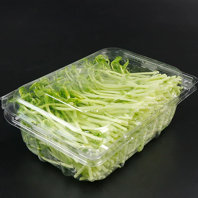Plastic Clamshells Microgreens Packaging Box Bean Sprout Packaging Pet Tray For Organic Bean
