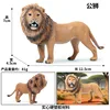 Male lion