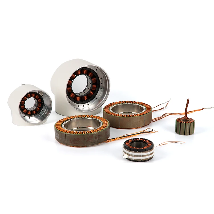 Beudmke Custom 48V Inrunner Outrunner Bldc Motor for Robots