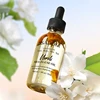 Nerium oleander 37602