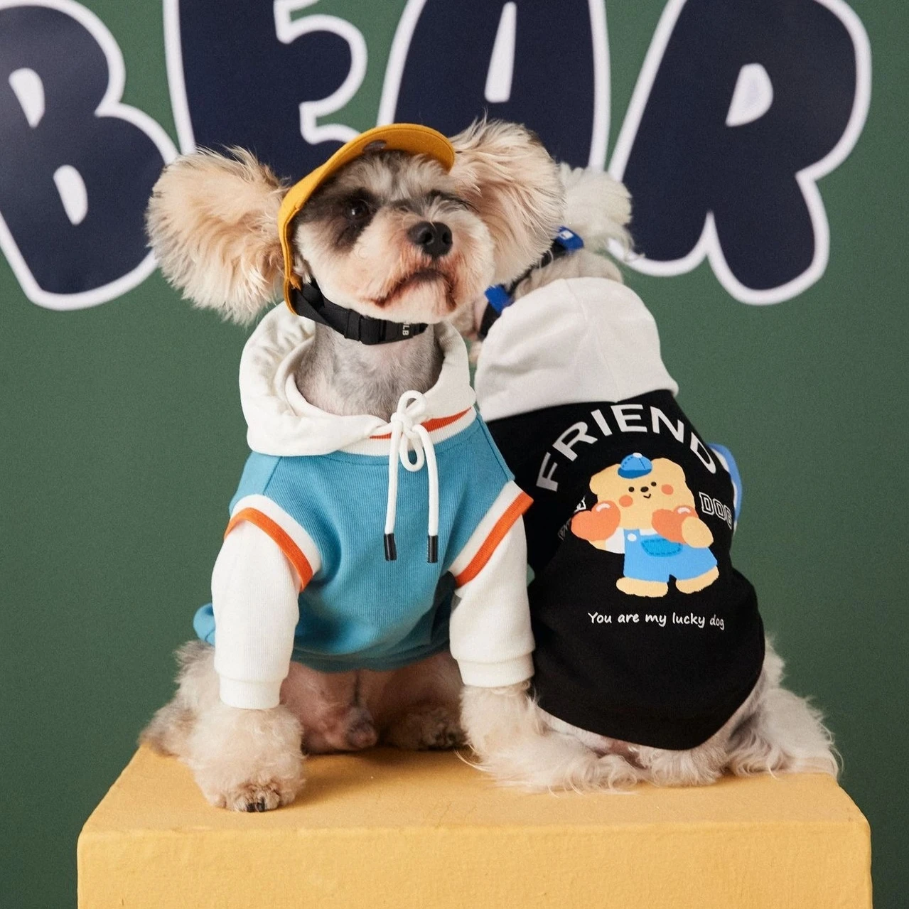 denim jacket for small dog
