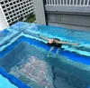 transparent