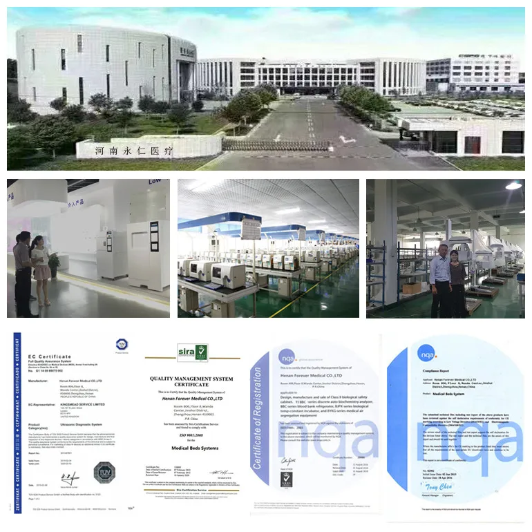 company and certificate.jpg