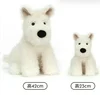 42cm Scottish dog