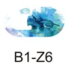 Couleur B1-S6 (pas d'emballage)