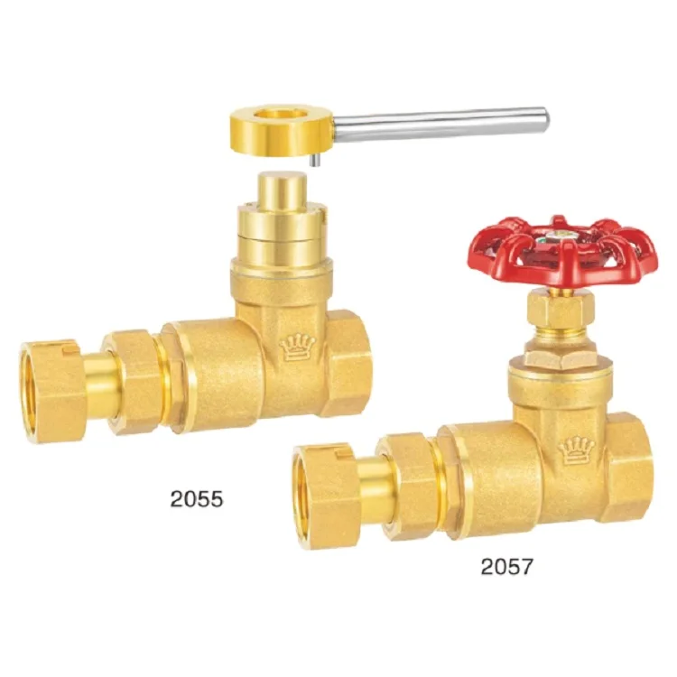 Z15W-10/16/25T Telescopic check valve of magnetic locking water meter Thread connection brass gate v