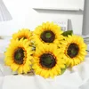 Girasol (1000 girasoles por paquete)