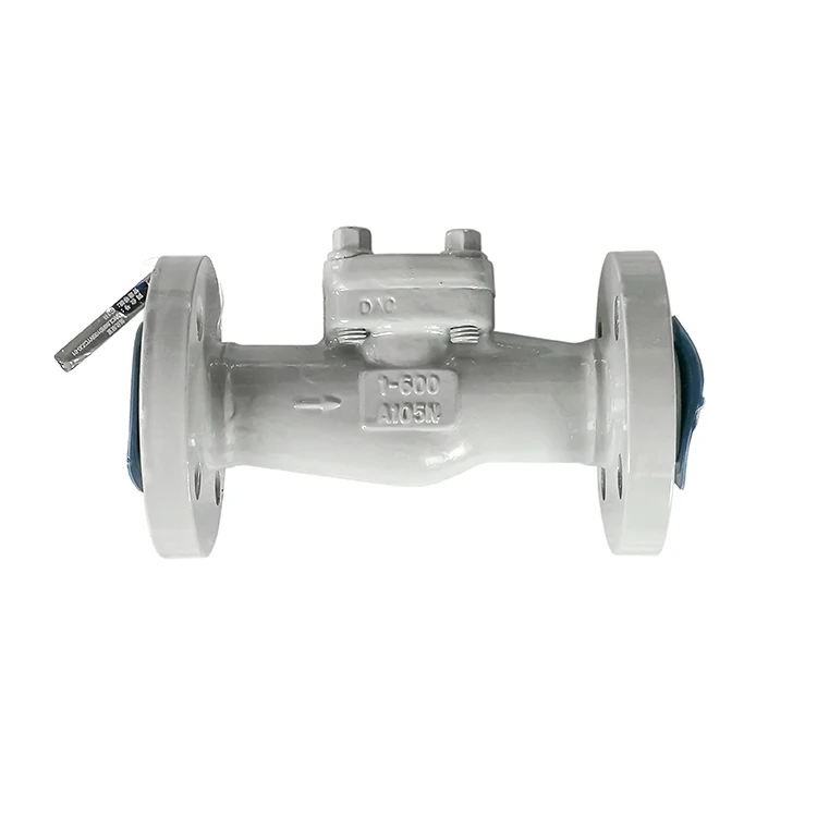 Professional oxygen silent check valve 1 inch