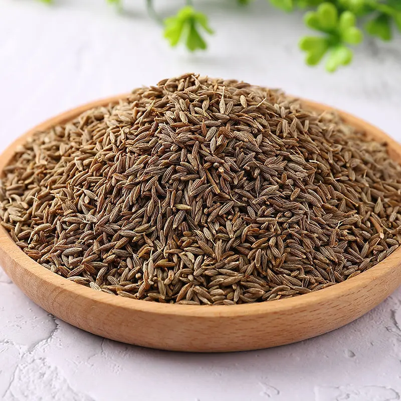 High Quality Supplier Price Indian Cumin Whole Spices Dried Cumin Seeds