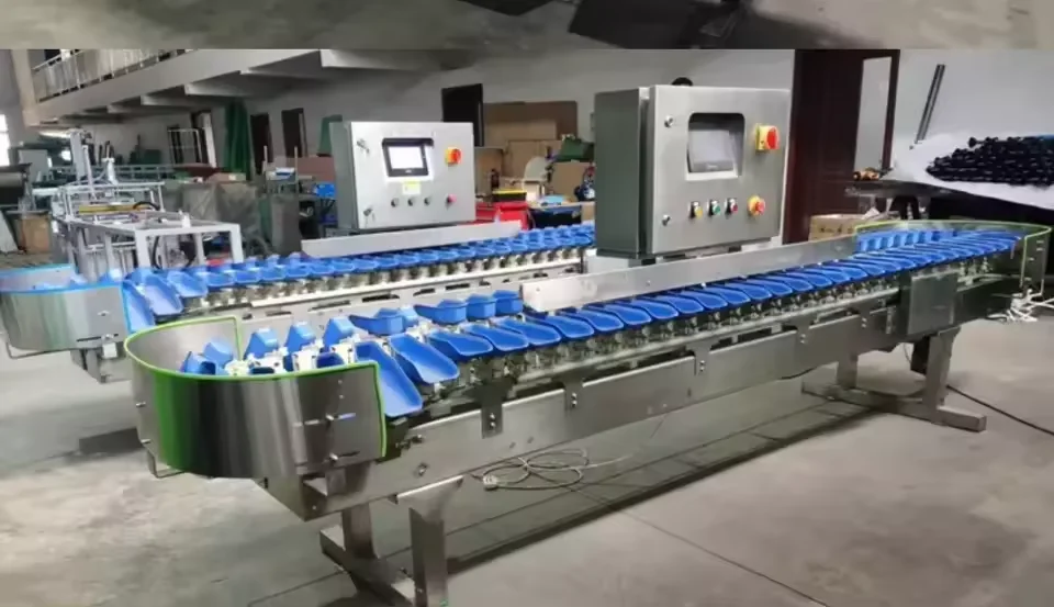 Professional Factory Crayfish Sorting Machine By Weight Fish