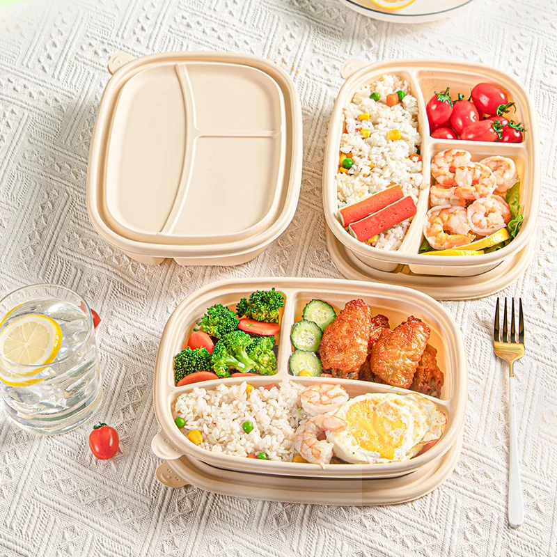 Container Pla Disposable Plastic Lunch Box Lear Disposable Clamshell Box Tray Plastic Food