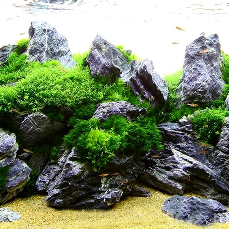 Qinglong Dragon Stone Aquarium Fish Tank Landscape Stone Buy Blue