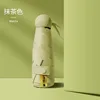 Confezione con copertura in tessuto verde matcha a sei strati