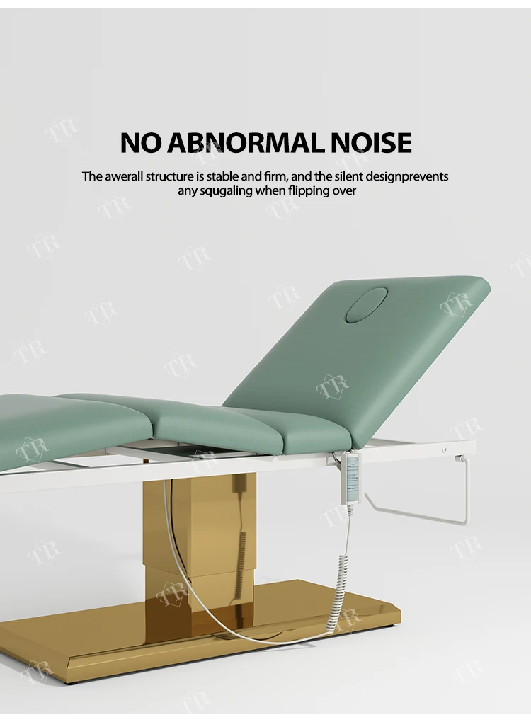 Turri Full Set All Purpose Electric Salon Chair Adjustable Massage Bed