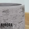 Cement