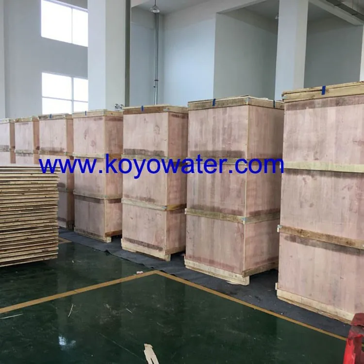 Full Automatic 2000 Sachet Water Production Line/1000l/h Pure Water