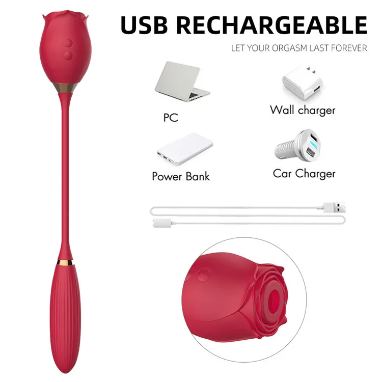 Chargeur 2 en 1, vibromasseur en silicone en forme de rose rouge, suceur de  clitoris, vibromasseur suceur de vagin avec gode qui se dplace de haut en  bas