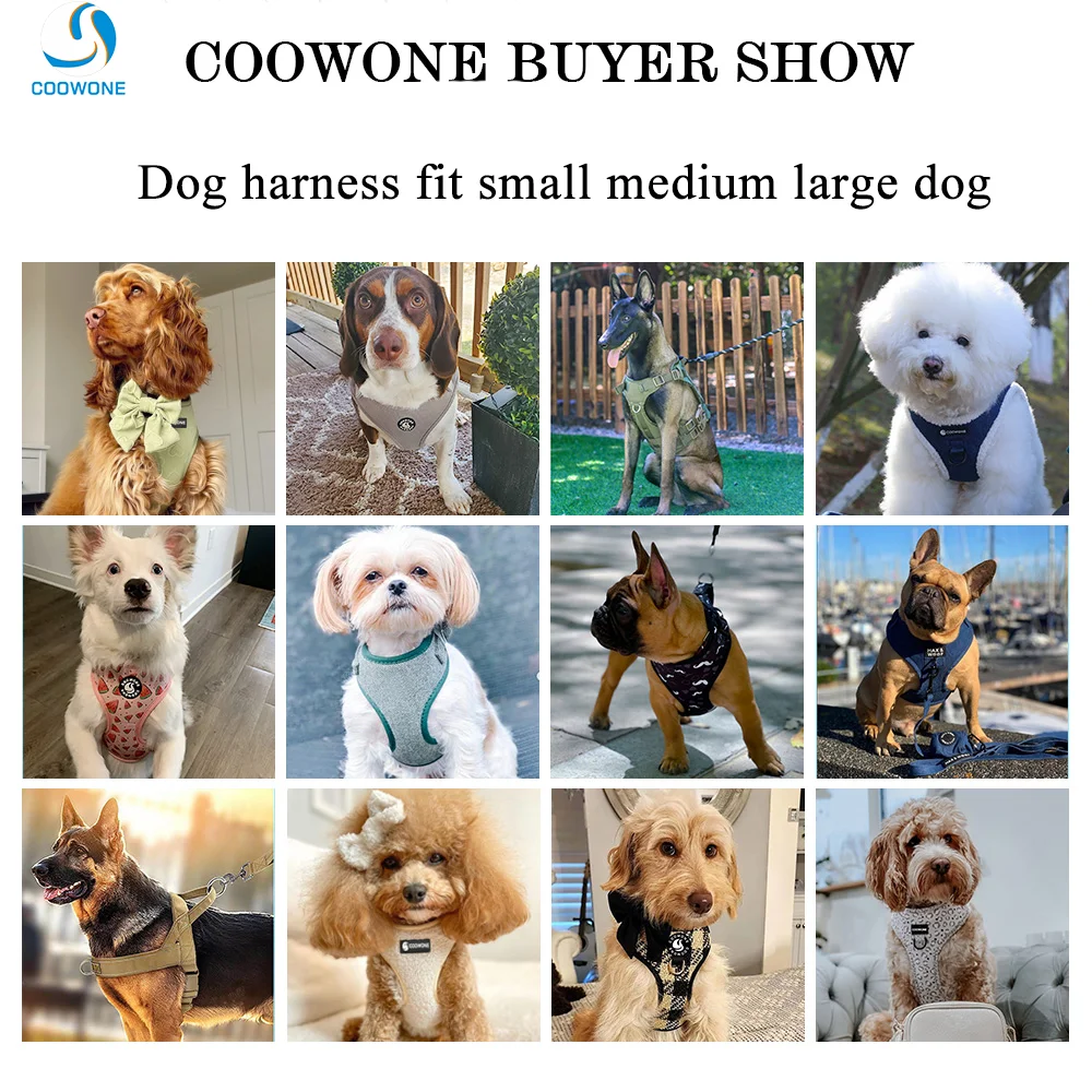 Customized Dog Leashes and Harnesses with Personalized Logos