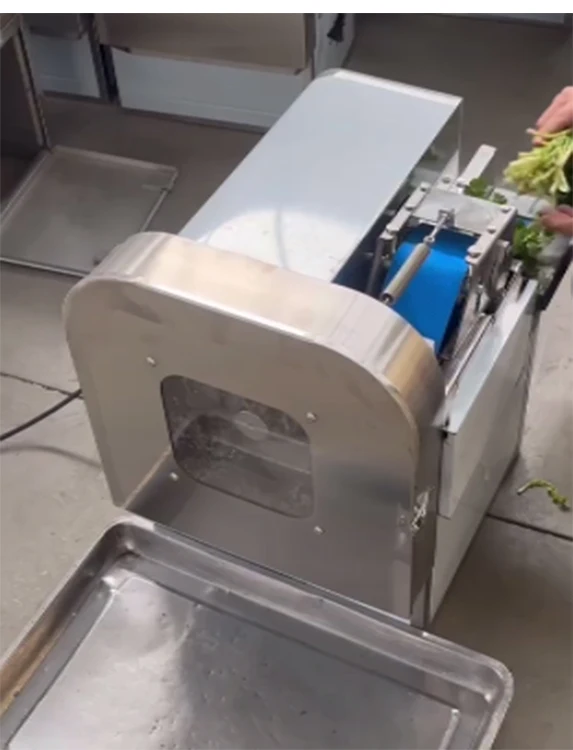 Stainless Steel Automatic Multipurpose Cabbage Leafy Vegetable Fruit Shredder and Cutting Machine